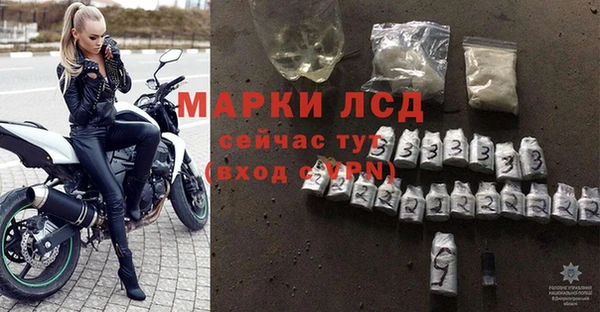 спайс Ладушкин