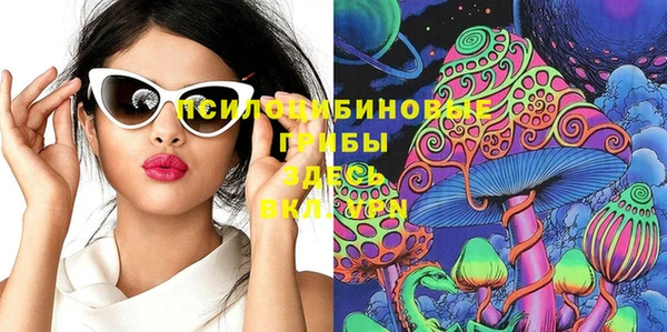 ПСИЛОЦИБИНОВЫЕ ГРИБЫ Абдулино