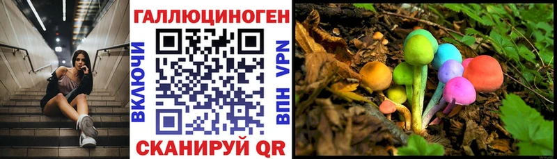 Галлюциногенные грибы GOLDEN TEACHER Шумиха